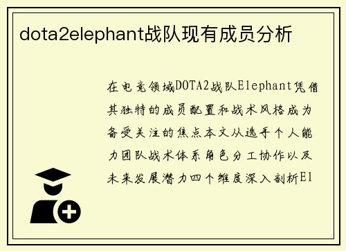 dota2elephant战队现有成员分析
